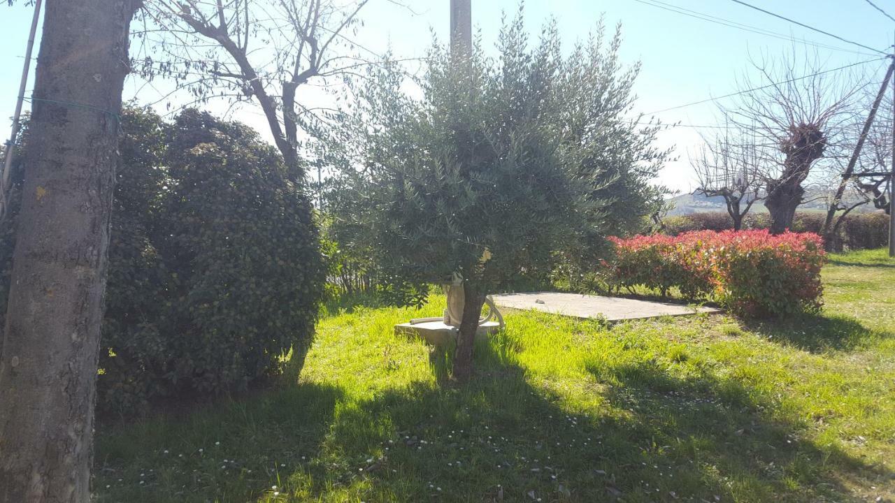 Casa Selene Rocchi Villa Savignano sul Panaro Exteriör bild